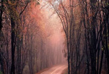 征途国际：郑钦文迎WTA1000迈阿密站“开门红.