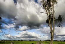 征途国际：82球，巴萨是本赛季五大联赛进球最多的球队.