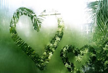 征途国际：球迷态度：客战沙特&迎战袋鼠，国足将取得怎样的成绩？.