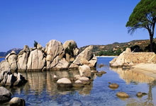 荷兰击败德国 首闯戴维斯杯网球决赛.